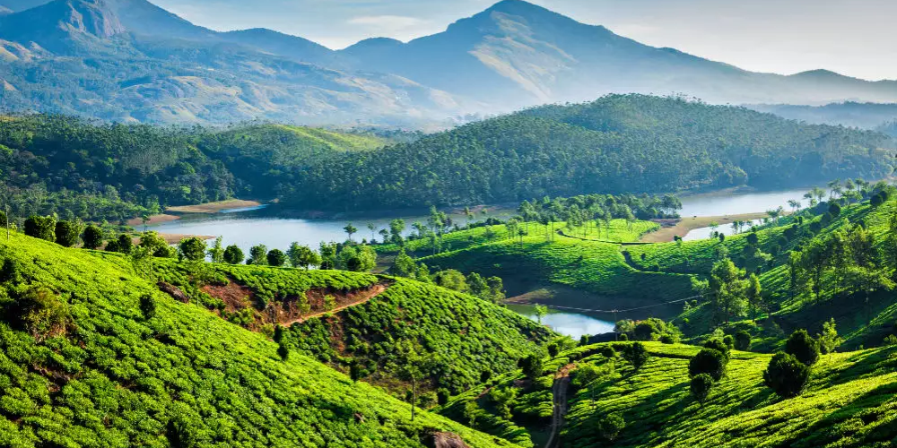 Kerala Package 5N-6D